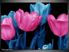 Glas schilderij Tulp | Roze, Blauw, Zwart