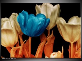 Glas schilderij Tulp | Blauw, Oranje, Zwart