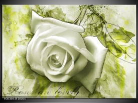 Foto canvas schilderij Roos | Groen, Wit