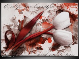 Foto canvas schilderij Tulp | Rood, Wit, Bruin