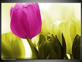 Foto canvas schilderij Tulp | Roze, Groen, Wit