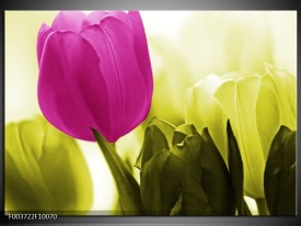 Foto canvas schilderij Tulp | Roze, Groen, Wit