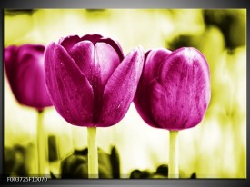 Foto canvas schilderij Tulp | Roze, Groen, Wit