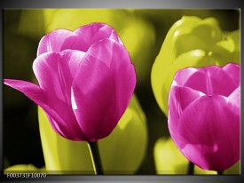 Foto canvas schilderij Tulp | Roze, Groen, Zwart
