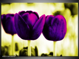 Foto canvas schilderij Tulp | Paars, Groen, Wit