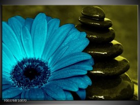 Foto canvas schilderij Bloem | Blauw, Zwart, Groen