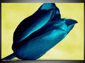 Glas schilderij Tulp | Blauw, Zwart, Groen