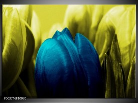 Foto canvas schilderij Tulp | Blauw, Zwart, Groen