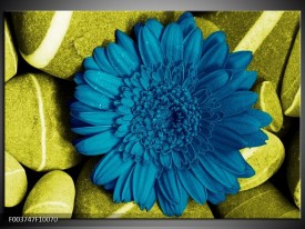 Glas schilderij Bloem | Blauw, Zwart, Groen