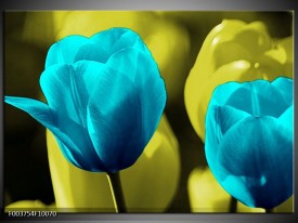 Foto canvas schilderij Tulp | Blauw, Zwart, Groen