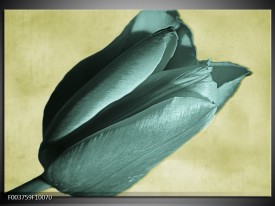 Foto canvas schilderij Tulp | Blauw, Zwart, Groen