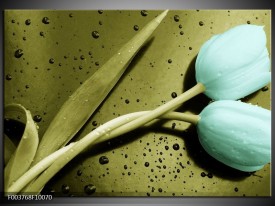 Glas schilderij Tulp | Blauw, Zwart, Groen