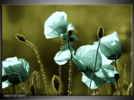 Foto canvas schilderij Klaproos | Blauw, Zwart, Groen