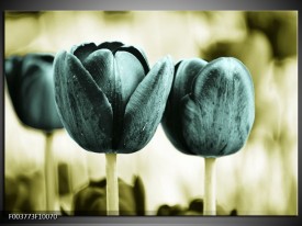 Foto canvas schilderij Tulp | Blauw, Zwart, Groen