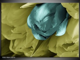 Foto canvas schilderij Tulp | Blauw, Zwart, Groen