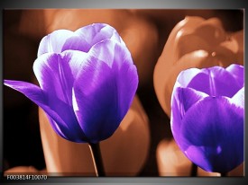 Glas schilderij Tulp | Paars, Bruin, Wit