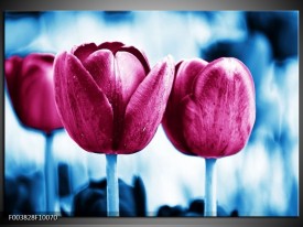 Foto canvas schilderij Tulp | Roze, Blauw