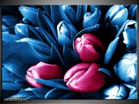 Foto canvas schilderij Tulp | Roze, Blauw