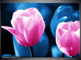 Foto canvas schilderij Tulp | Roze, Blauw