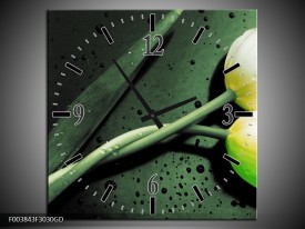 Wandklok op Glas Tulp | Kleur: Groen, Geel, Zwart | F003843CGD