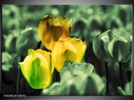 Glas schilderij Tulp | Geel, Groen