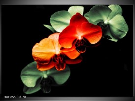 Glas schilderij Orchidee | Rood, Groen, Zwart