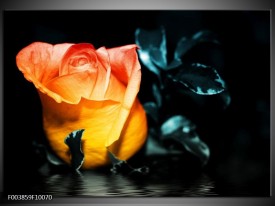 Glas schilderij Roos | Geel, Oranje, Zwart