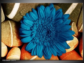 Glas schilderij Bloem | Blauw, Oranje, Grijs