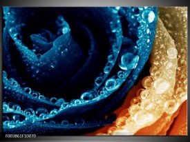 Glas schilderij Roos | Blauw, Oranje