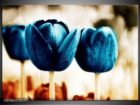 Foto canvas schilderij Tulp | Blauw, Wit, Grijs