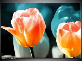 Foto canvas schilderij Tulp | Blauw, Oranje