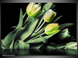 Glas schilderij Tulp | Groen, Zwart