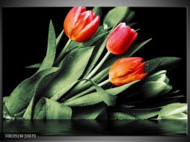 Foto canvas schilderij Tulp | Rood, Oranje, Groen