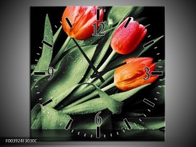 Wandklok op Canvas Tulp | Kleur: Rood, Oranje, Groen | F003924C