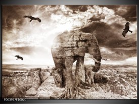 Foto canvas schilderij Olifant | Grijs, Wit