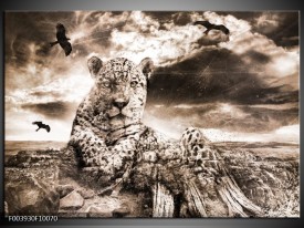 Foto canvas schilderij Natuur | Grijs, Wit