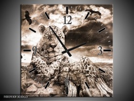 Wandklok op Glas Natuur | Kleur: Grijs, Wit | F003930CGD