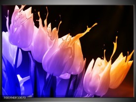 Glas schilderij Tulp | Oranje, Paars, Blauw