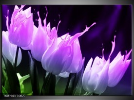 Glas schilderij Tulp | Paars, Zwart, Roze