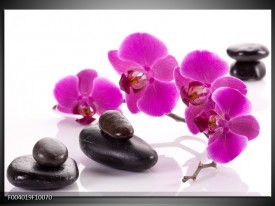 Glas schilderij Orchidee | Paars, Wit, Zwart