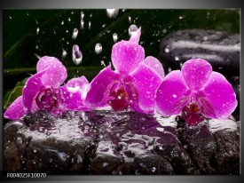 Foto canvas schilderij Orchidee | Zwart, Roze, Grijs