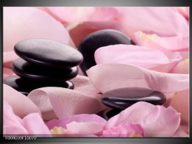 Glas schilderij Stenen | Roze, Zwart