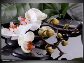 Foto canvas schilderij Orchidee | Geel, Zwart, Wit