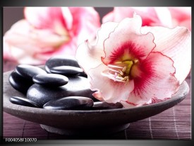 Foto canvas schilderij Bloem | Wit, Roze, Zwart