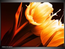 Glas schilderij Tulp | Geel, Oranje, Bruin