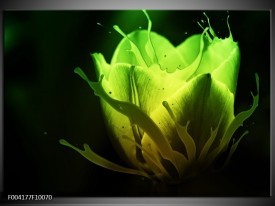 Glas schilderij Tulp | Groen, Zwart