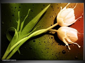 Foto canvas schilderij Tulp | Groen, Wit, Bruin