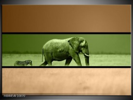 Foto canvas schilderij Olifant | Groen, Bruin