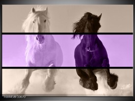 Glas schilderij Paard | Paars, Zwart, Grijs