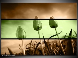 Glas schilderij Tulp | Groen, Bruin
